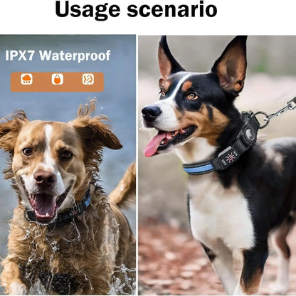 Rechargeable LED Pet Tracker Collar with Safety Light, Smart Mini Tracker Compatible with Apple Find My iOS, USB PD Charging, and QR Code Dog Tag Holder