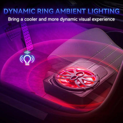 ANDEMAN 10'' Slim Under-Seat Powered Car Subwoofer with APP Control, Built-In Amplifier, and Adjustable Colour Lighting for Vehicles